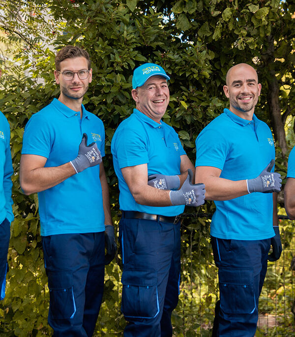 De voordelen van een professioneel verhuisbedrijf